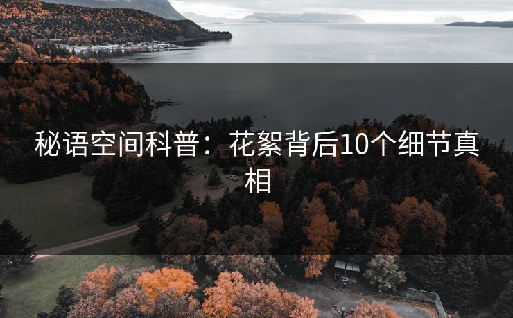 秘语空间科普：花絮背后10个细节真相