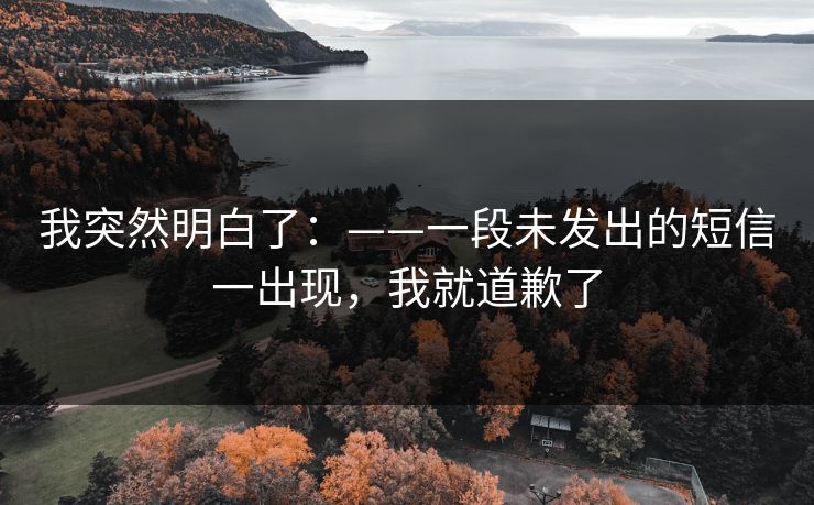 我突然明白了:——一段未发出的短信一出现,我就道歉了 我突然明白了:——一段未发出的短信一出现,我就道歉了